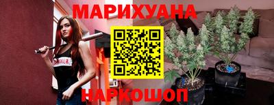 гидра Заводоуковск